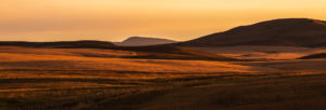Country side (4)