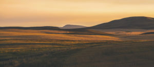 countryside