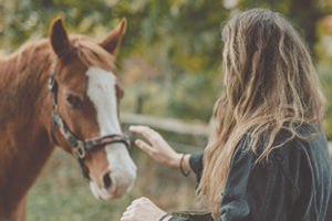 woman and horse