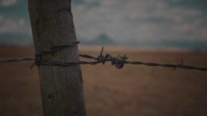 barbed wire fence (2)
