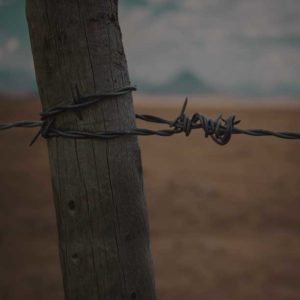 barbed wire fence