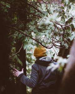 person walking through the woods
