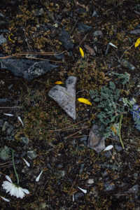 Rock in the ground shaped like a heart