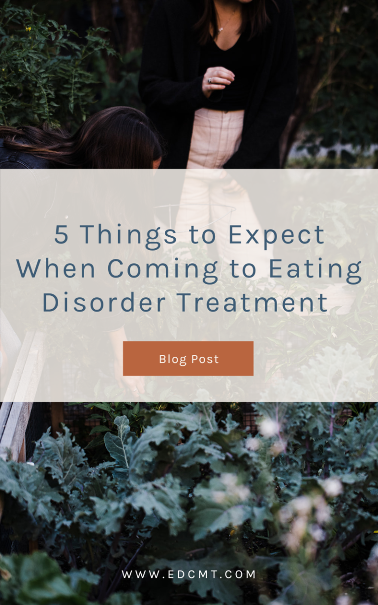 What To Expect From Eating Disorder Treatment Edcmt 9595